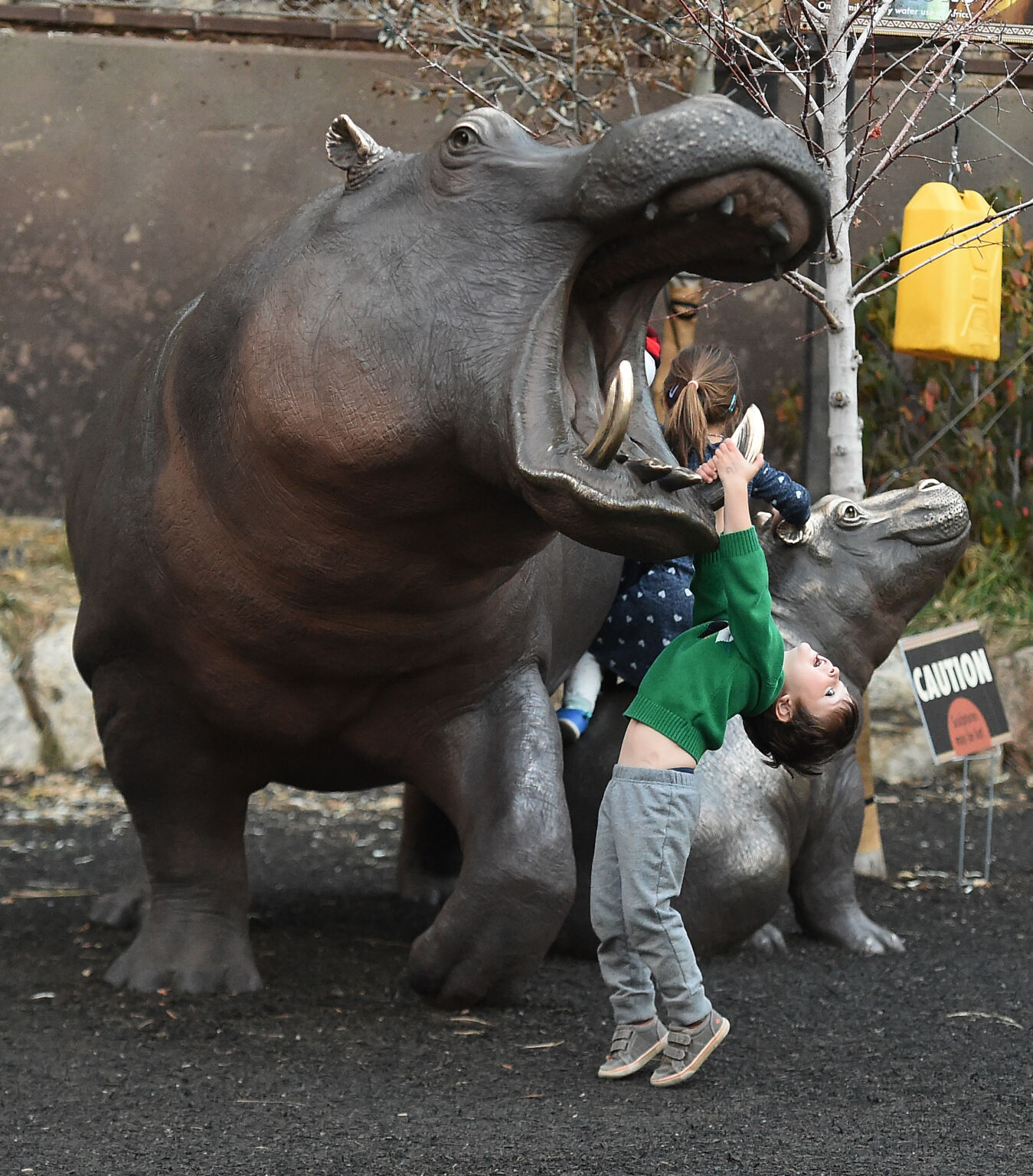 112821-life-zoo 04.JPG